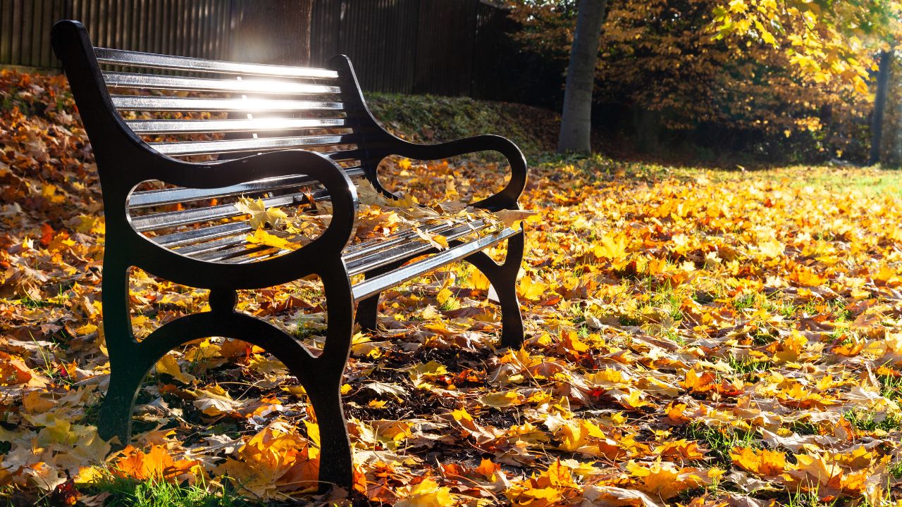 Bereavement therapy in London